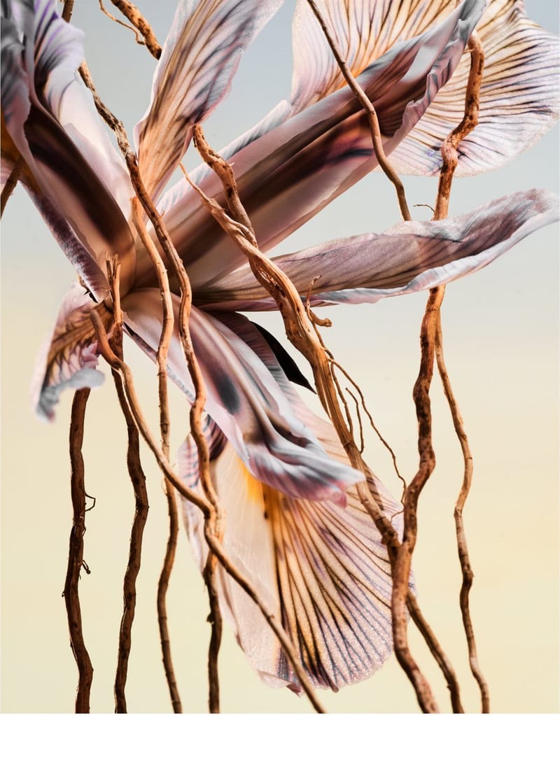 Фото товара1