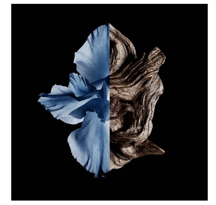 Фото товара1