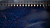 Фото товара2