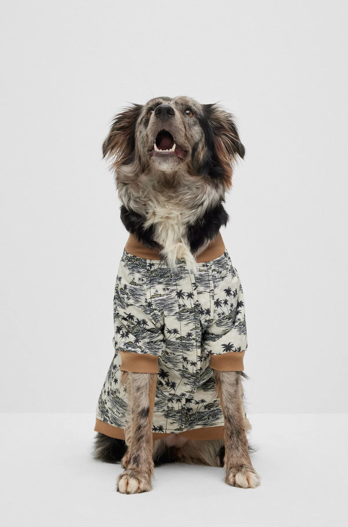 Фото товара1