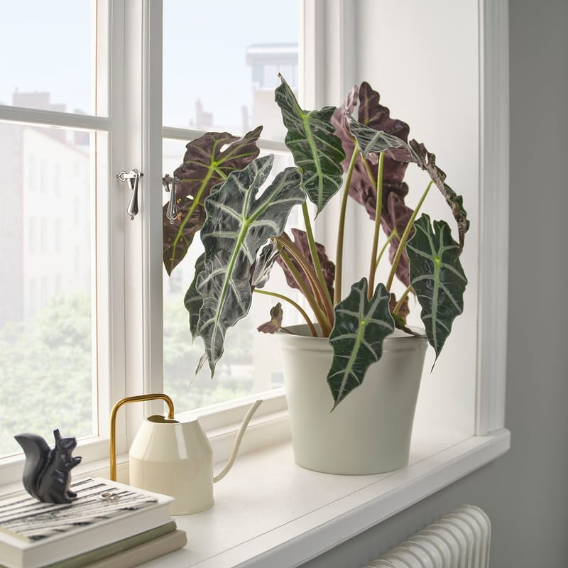 Фото товара1