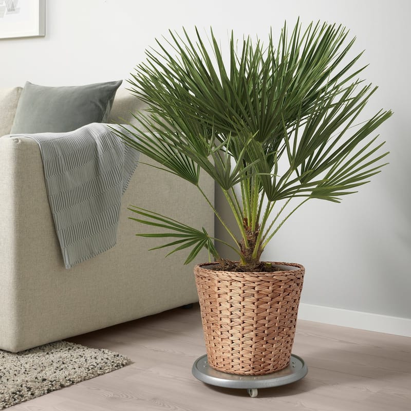 Фото товара1