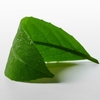 Фото товара2