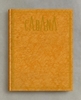 Цвет