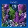 Фото товара2